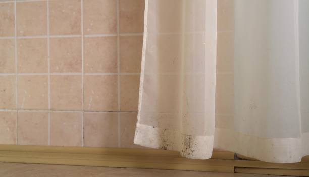 Best Mold Odor Removal Services  in Oakland, NE