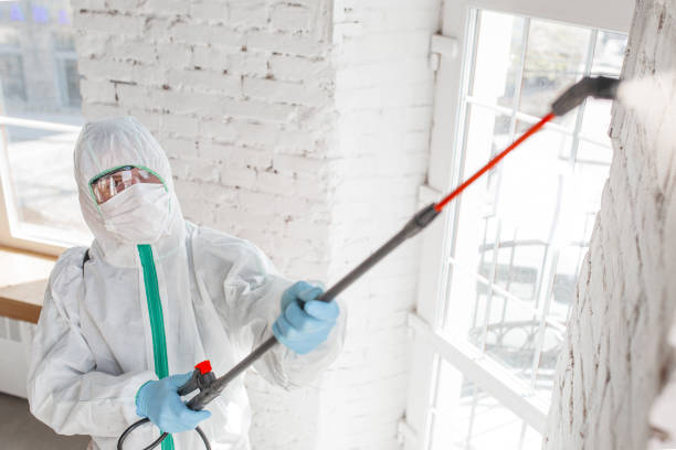 Best Post-Construction Mold Inspection  in Oakland, NE