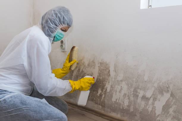 Best Biohazard Mold Removal  in Oakland, NE