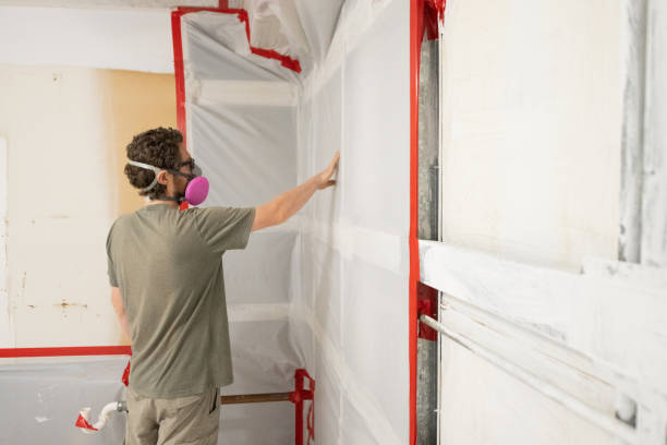 Best Black Mold Removal  in Oakland, NE