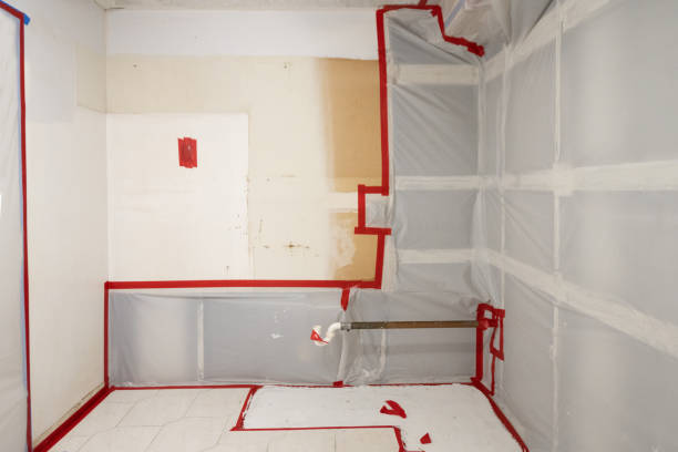 Best Emergency Mold Remediation  in Oakland, NE