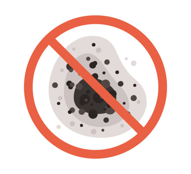 Best Mold Documentation for Insurance Claims  in Oakland, NE