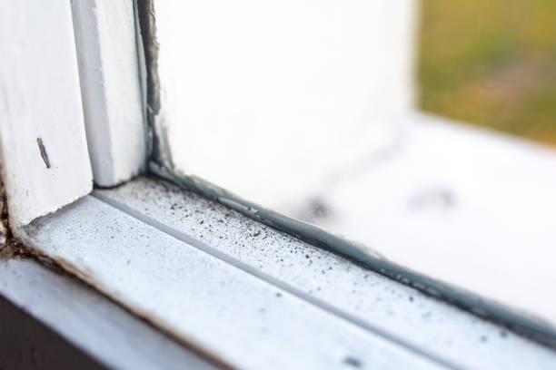 Best Residential Mold Inspection & Testing  in Oakland, NE