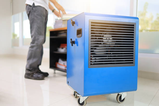 Best Mold Remediation for Vacation Homes  in Oakland, NE